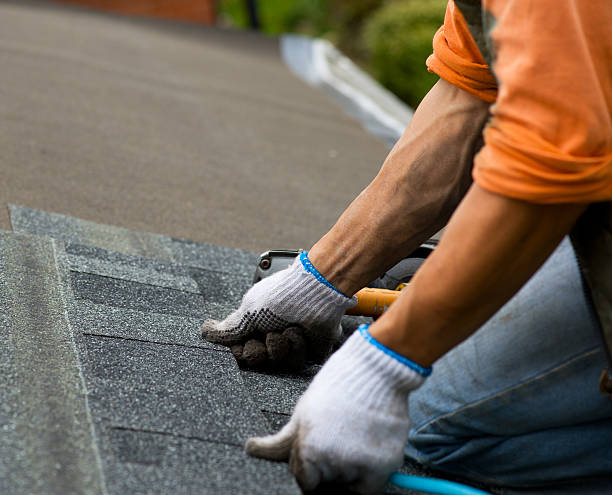 Best Roof Gutter Cleaning  in Central City, PA