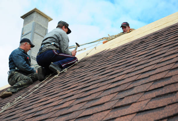 Best Roof Restoration Services  in Central City, PA